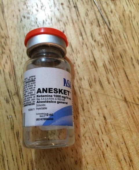 Order Anesket 1000mg/10ml Order Anesket 1000mg/10ml